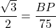 \dfrac{\sqrt{3}}{2} = \dfrac{BP}{75}