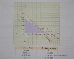 Case study linear programming 1 chapter 12 class 12