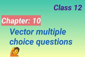 vectors multiple choice