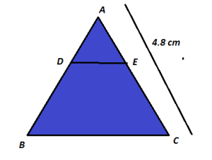 Class 10 Case based problem of Chapter 6 Triangles 1