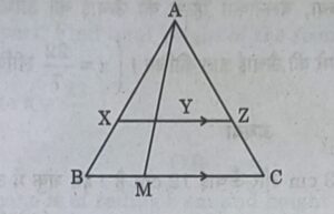 CBSE Class 10 mathematics Paper  2023-2024