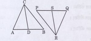 CBSE Class 10 mathematics Paper  2023-2024